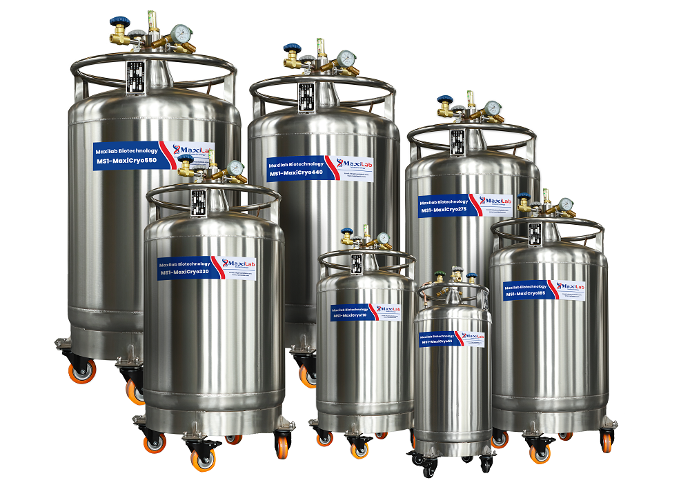 MS1-MaxiCryo series Low Pressure Liquide Nitrogen Cylinders 