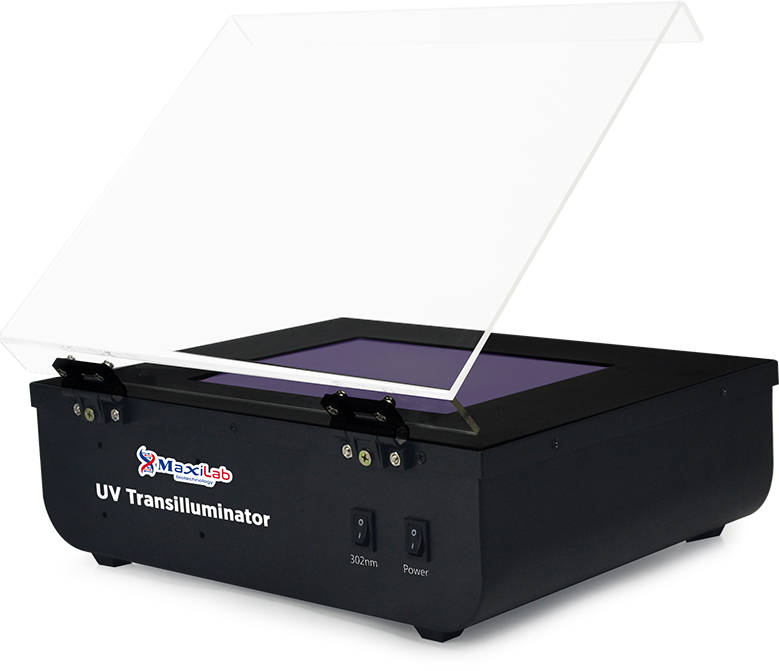 MS3-MaxiUV10 UV Transilluminator